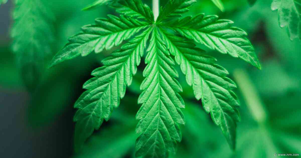 Federal hemp prohibition likely delayed to December as industry lobbies for regulation