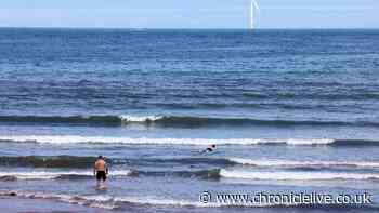 Council issues important update after Northumberland beach pollution warning