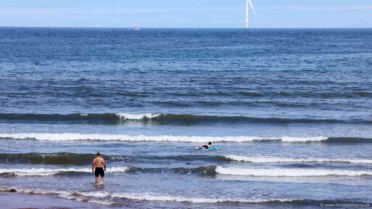 Council issues important update after Northumberland beach pollution warning