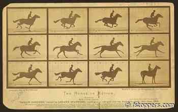 Murder, Movies, and Horses: The Strange Life of the Man Who Made Photographs Move