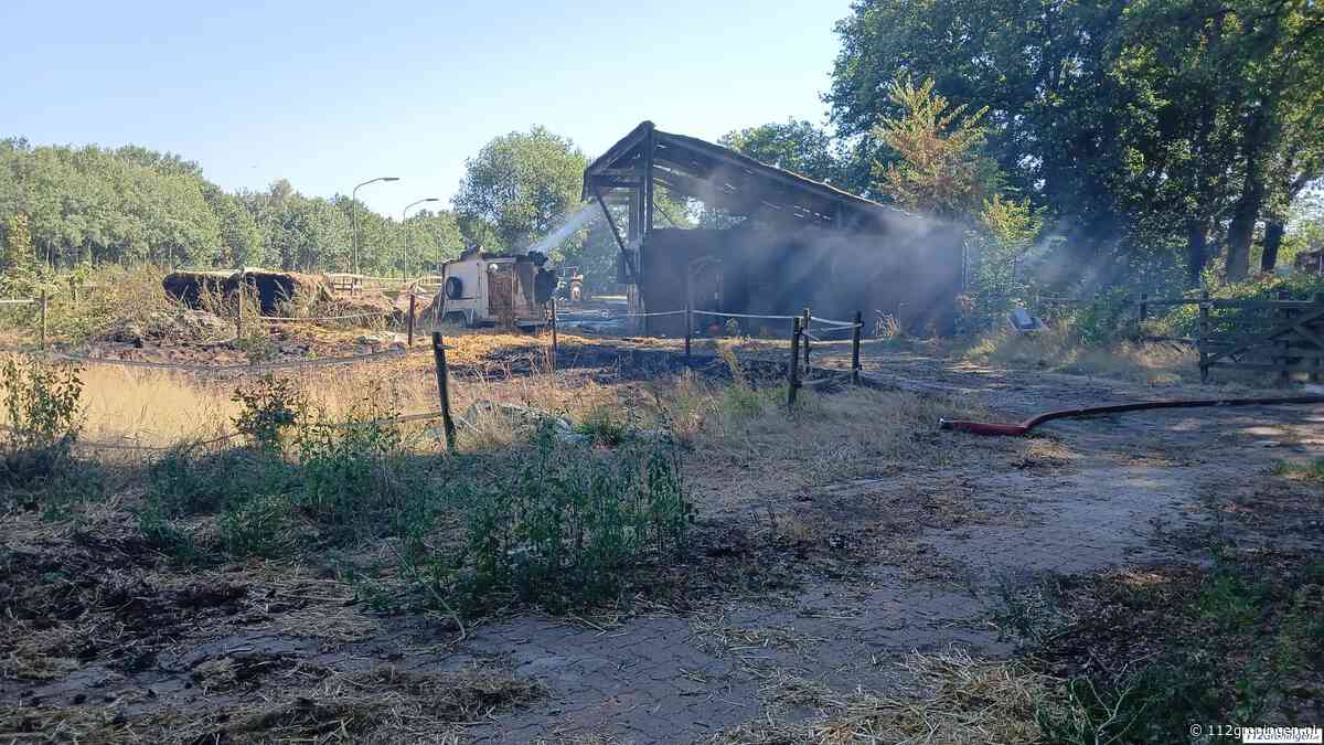 Grote brand in schuur met paarden bij Ter Apel