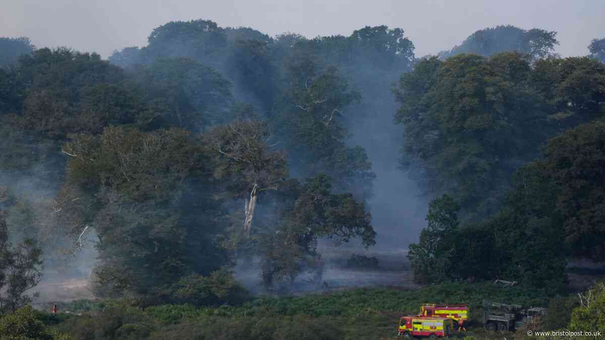 Millions of people receive emergency alert on phones warning over wildfires