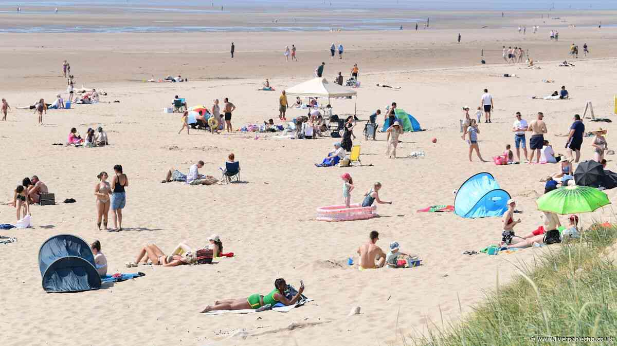 Nearly 600 fires detected across UK as disposable barbecue ban comes into force