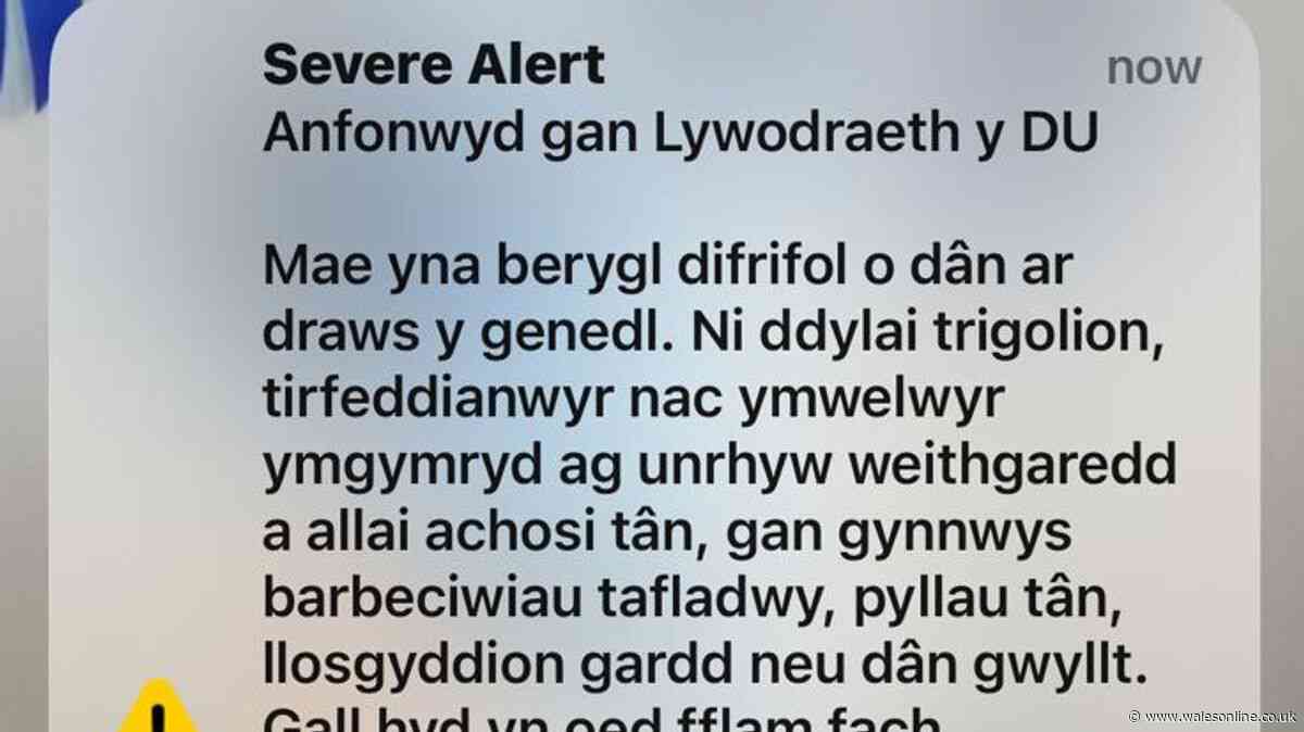 UK Government emergency alert causes mass confusion