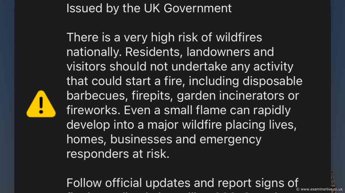 People left 'screaming' after UK emergency alert alarm goes off