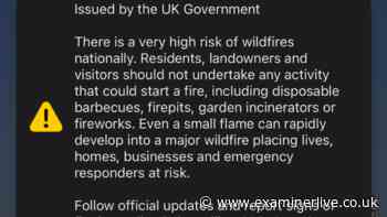 People left 'screaming' after UK emergency alert alarm goes off