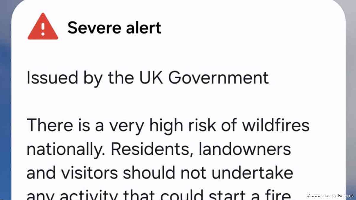Emergency alert LIVE: Updates after Government message sent to mobile phones with wildfire warning