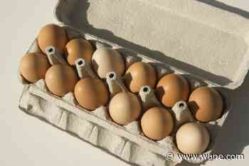 FDA assigns highest-risk Class I status for recall of nearly 1.6 million cartons of eggs