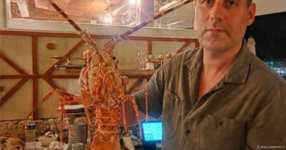 ‘Ik was geschokt’: dierenvriend betaalt 300 euro in restaurant om leven van ‘lekkernij’ te redden