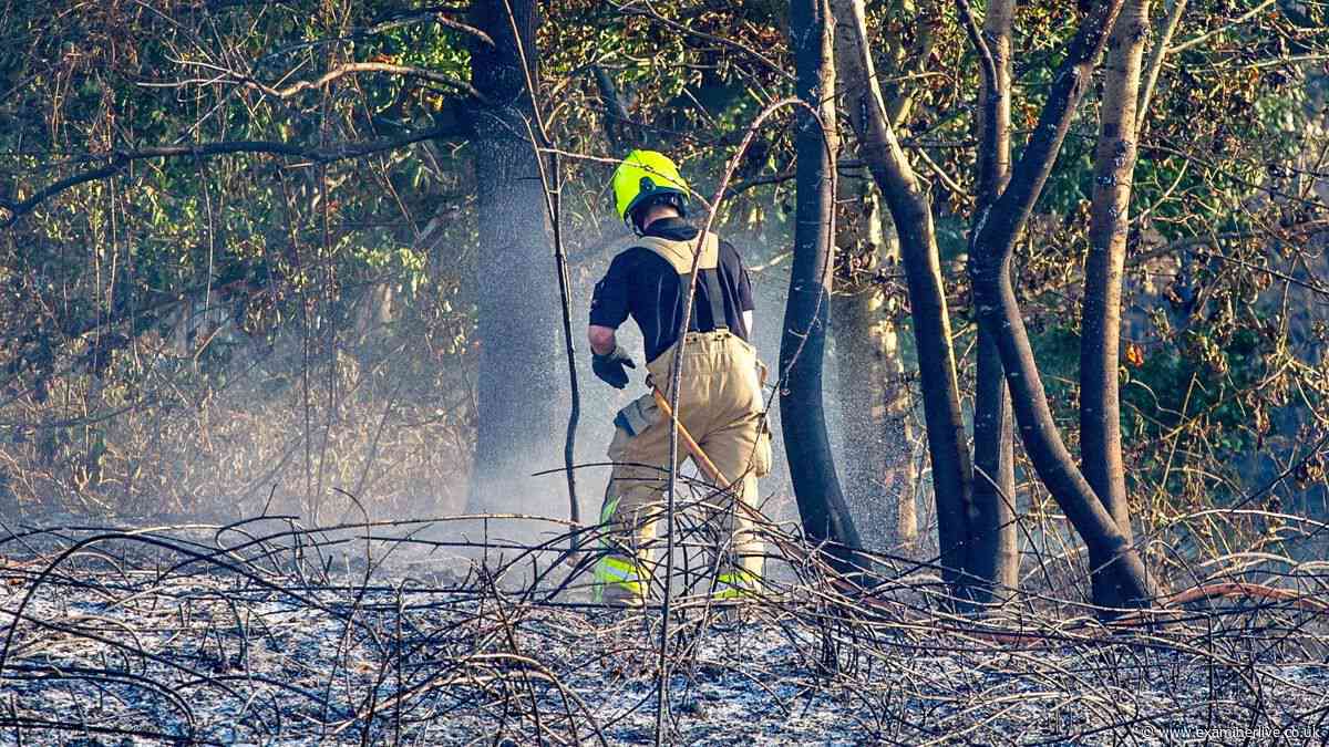 Wildfires burn across South Yorkshire LIVE as firefighters battle multiple blazes