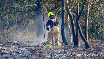 Wildfires burn across South Yorkshire LIVE as firefighters battle multiple blazes