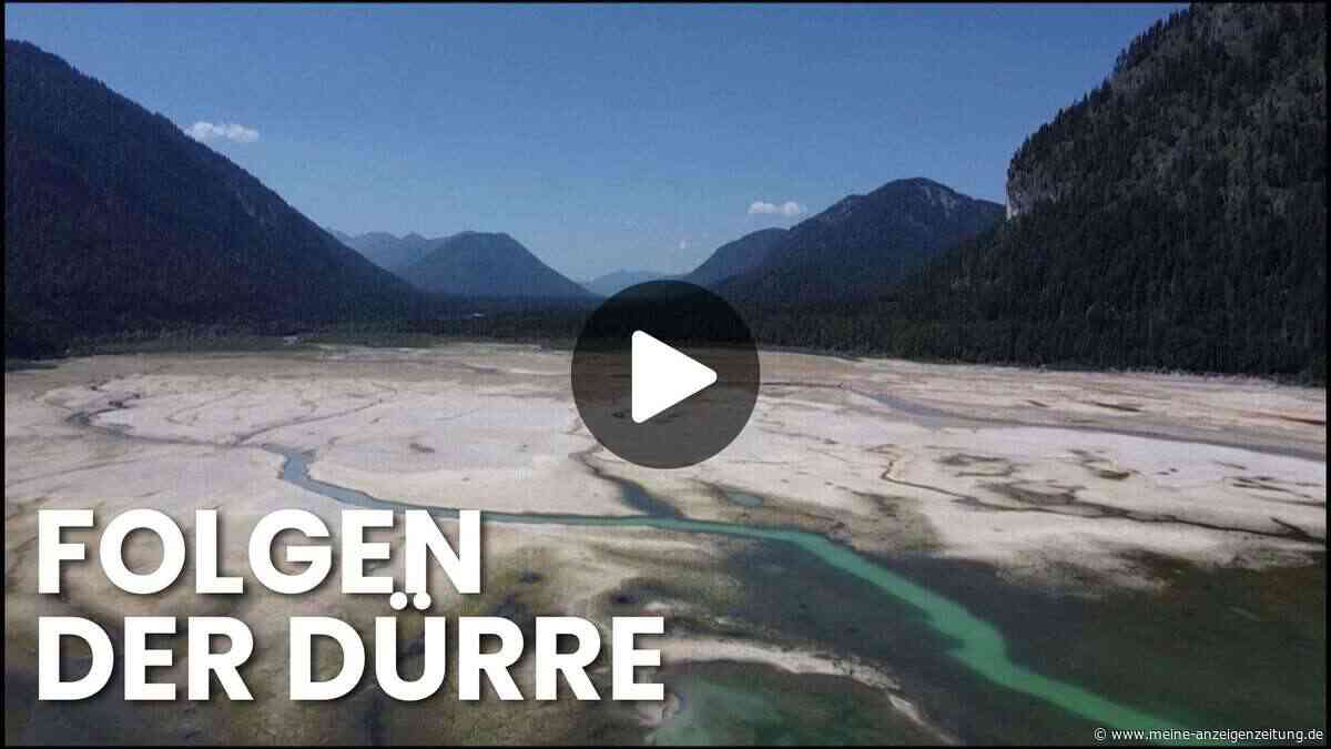 Video zeigt Wasser-Not: Bayerischer Stausee trocknet aus