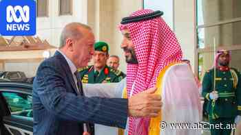 Saudi Arabia, Turkiye and the UAE are looking to Africa