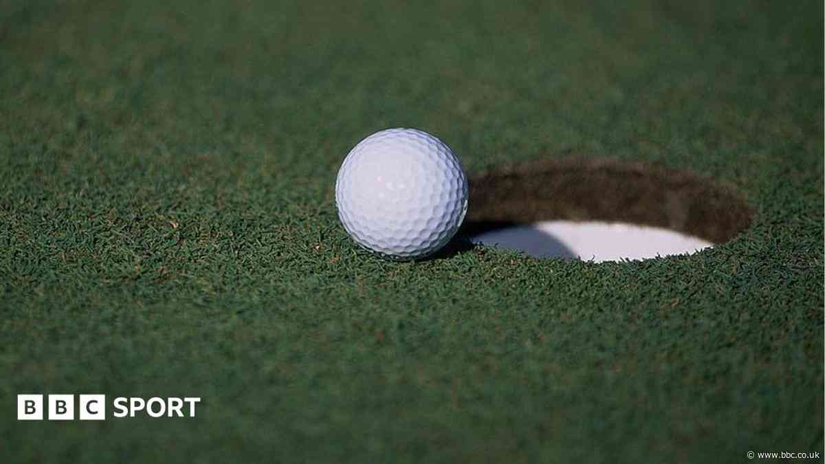 Golfer admits 'stupidity' after faking hole-in-one
