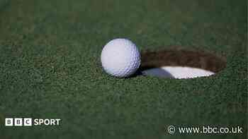 Golfer admits 'stupidity' after faking hole-in-one