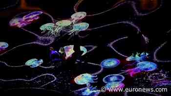 Bulgaria lights up its Black Sea coast with digital art festival