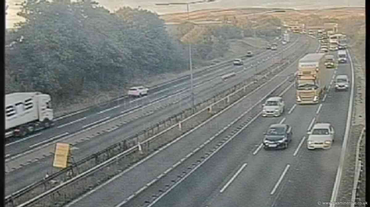 M62 shut both ways after unexpected visitors spotted