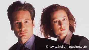 David Duchovny's 'intense' feud with X-Files co-star Gillian Anderson in their own words
