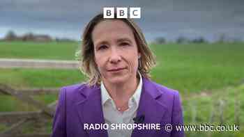 Helen Morgan in the Hot Seat
