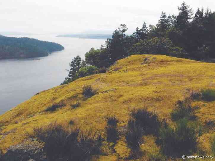 1 person taken to hospital after bear attack prompts closure of Vancouver Island park