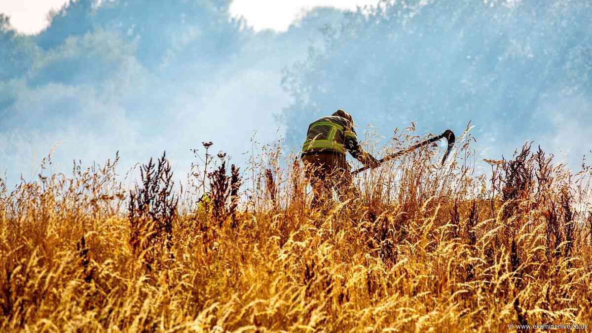 Nasa satellites detect nearly 600 UK wildfires - see where they are in Yorkshire