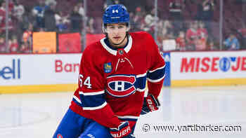 Montreal Canadiens Role Profiles: David Reinbacher