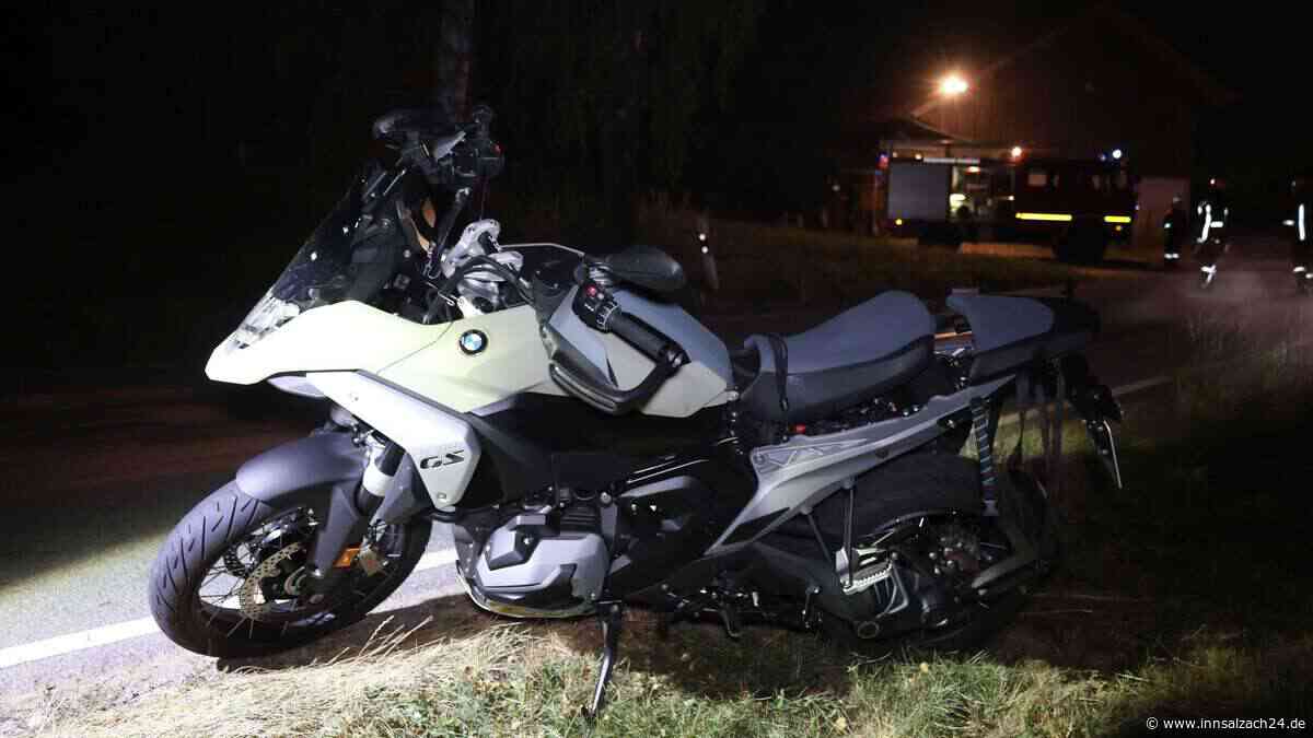 Motorrad-Fahrer erfasst Reh auf der St2353 – Tier sofort tot