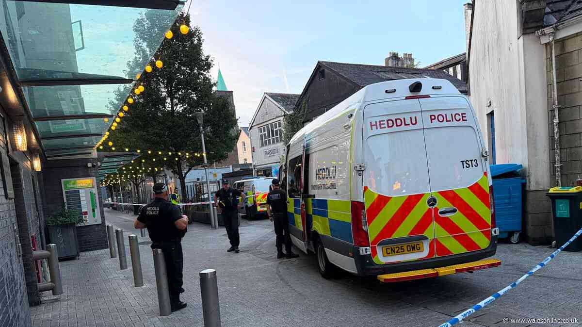 Police in stand off with man on roof of Cardiff city centre building for hours