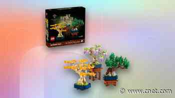 Building Tiny Lego Trees Makes Everything Better. A Record-Low Price Doesn’t Hurt, Either