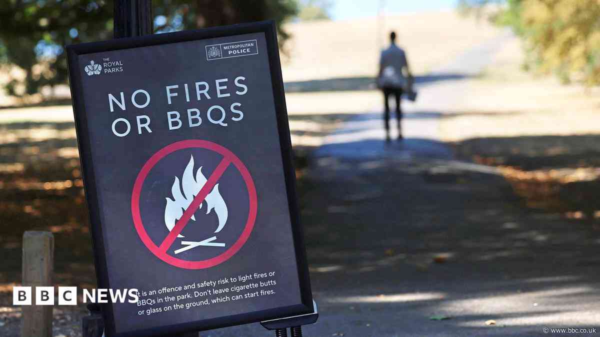 Temporary ban on sale of disposable BBQs over wildfire risk