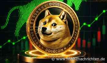 Krypto News Dogecoin zeigen Wal-Käufe von 680 Millionen Token bei 0,0718 Dollar