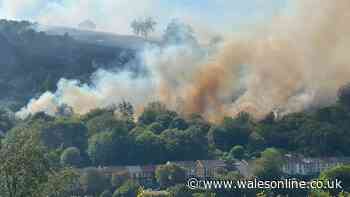 Four teens arrested after massive wildfire spread across a Rhondda valley