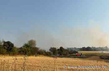 FW-BN: Ausgedehnter Flächenbrand in Bonn Dransdorf