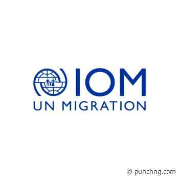 Banditry, climate shocks displace 737,073 in North-West — IOM