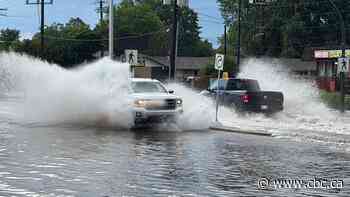 Overland flood watch issued for areas of southwestern Manitoba