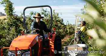 Family's fruit forward thinking at South West orchard and beef operation