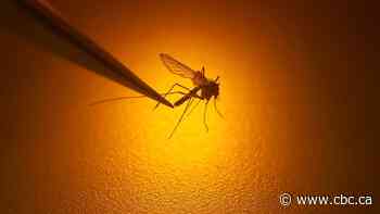 Manitoba reports 1st confirmed case of West Nile virus this season