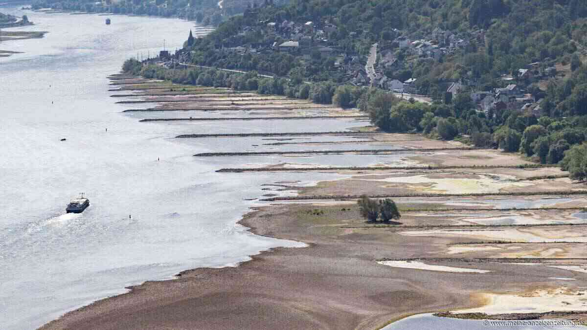 Niedrigwasser: Ökonomin Grimm sagt steigende Preise voraus