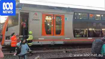 Sydney Trains boss apologises after fallen wires cause network chaos