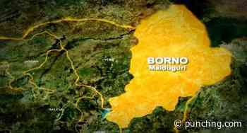 Helpless! Borno families sell houses to pay ransom
