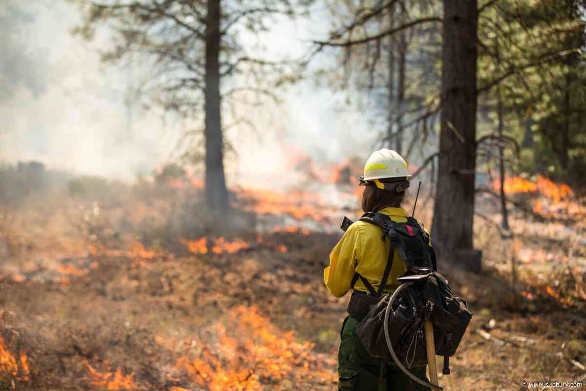 One new wildland fire confirmed today in Sudbury area
