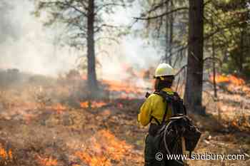 One new wildland fire confirmed today in Sudbury area