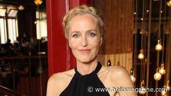 Gillian Anderson, 58, displays incredibly toned arms in sleek black gown