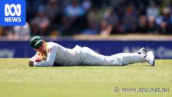 Live: Australia in need of big improvements on day three against Bangladesh