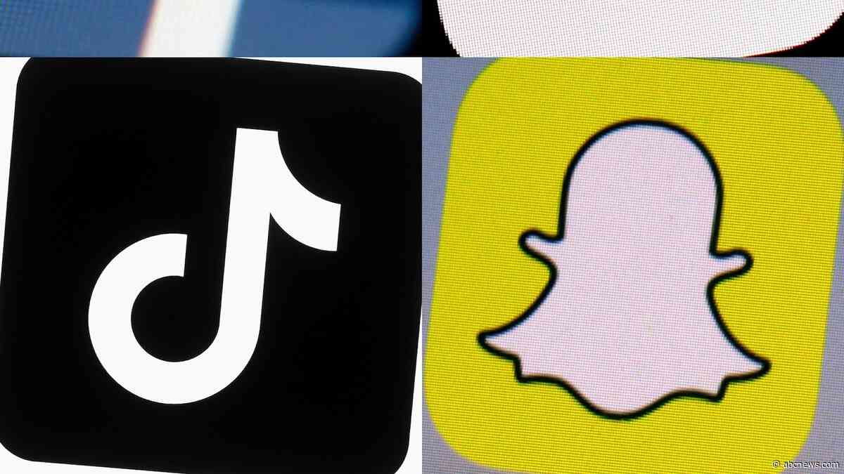 France’s top court blocks under-15 social media ban, citing constitutional freedoms