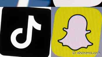 France’s top court blocks under-15 social media ban, citing constitutional freedoms