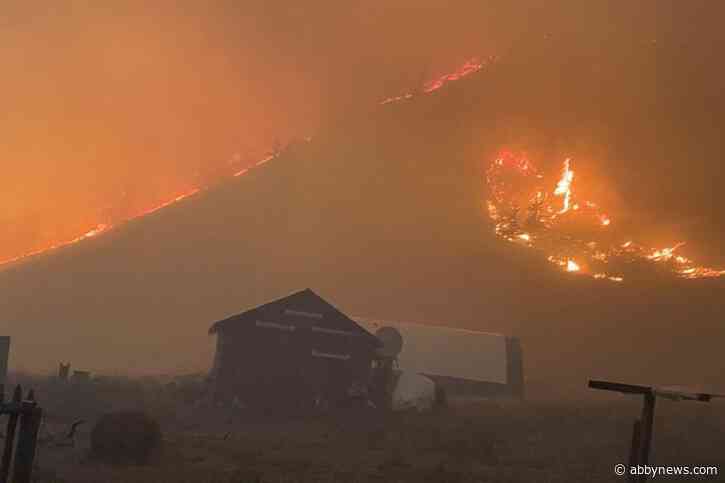 As fires rage, B.C.’s ranchers band together to save their homes and cattle