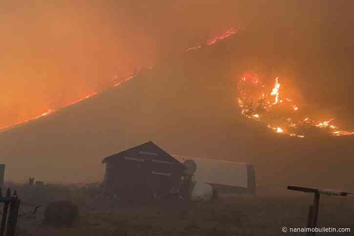 As fires rage, B.C.’s ranchers band together to save their homes and cattle