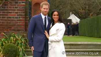 Prince Harry and Meghan's Commercial Empire: What Their Business Ventures Mean for the Royal Brand