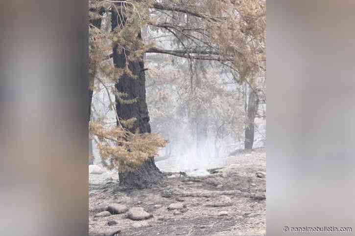 ‘The environment has changed:’ residents returning to Clinton area told to be prepared for wildfire damage